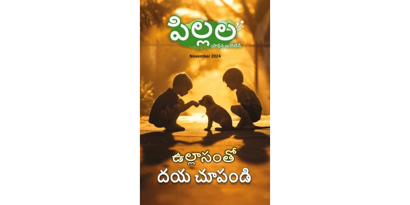 SJMT 2024-11(Telugu)